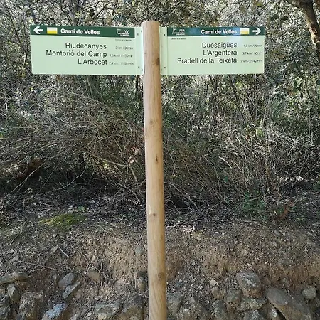 La Cantonada Riudecanyes