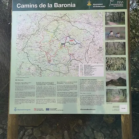 La Cantonada Riudecanyes